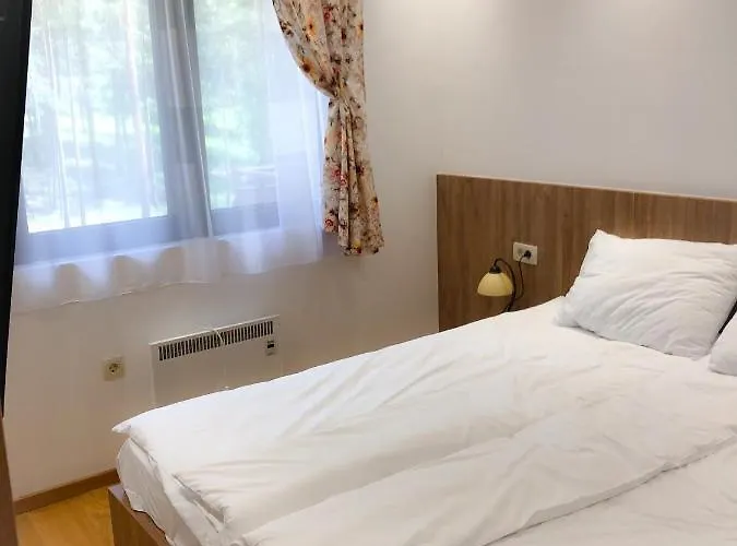 Apartment S23 Zlatibor